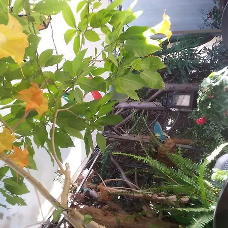 Bed & Breakfast Mare E Sole