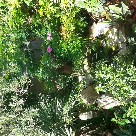 Bed & Breakfast Mare E Sole Brindisi